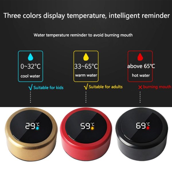 Temperature Display Thermos Water Bottle 500 Ml