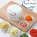 Mini Garlic Slicer - Garlic Mincer - Garlic Ginger Paste Make